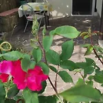 Apartma Marinka * Piran