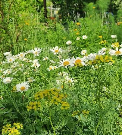 Apartma Marinka Apartmán