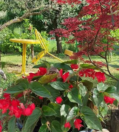 Apartma Marinka * Piran