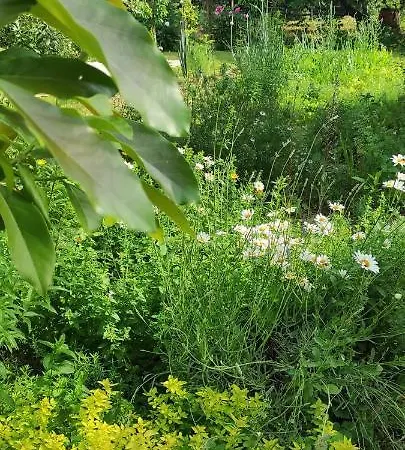 Apartman Apartma Marinka *