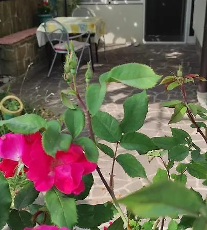 Apartma Marinka * Piran