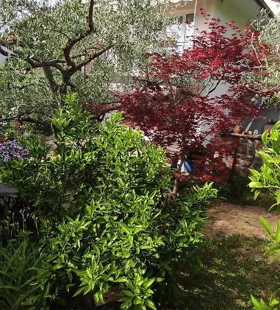 Apartma Marinka Apartman Piran