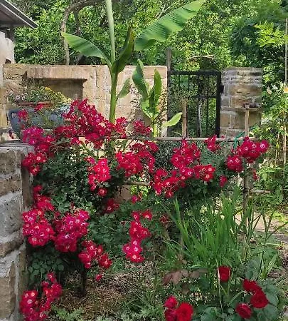 Apartma Marinka * Piran