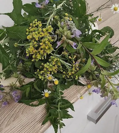 Apartma Marinka Apartmán