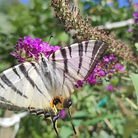 Apartma Marinka Apartmán Piran