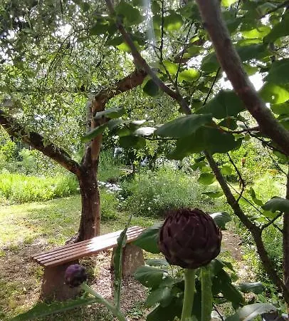 Apartma Marinka Piran