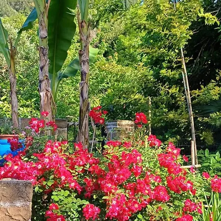 Apartma Marinka Apartmán Piran