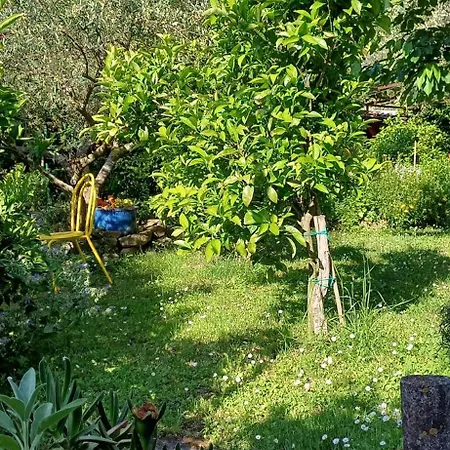 Apartma Marinka * Piran