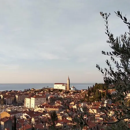 Apartma Marinka Apartment Piran