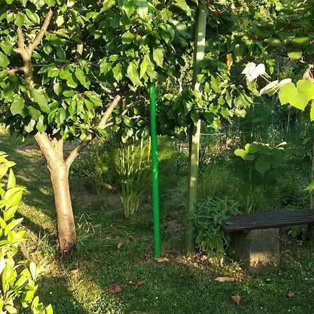 Apartma Marinka *