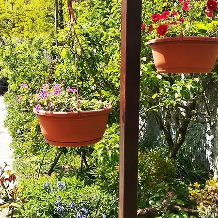 Apartman Apartma Marinka *