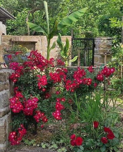 Apartma Marinka * Piran