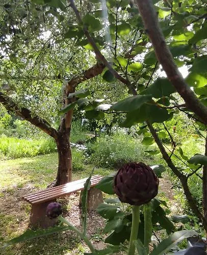 Apartma Marinka Piran