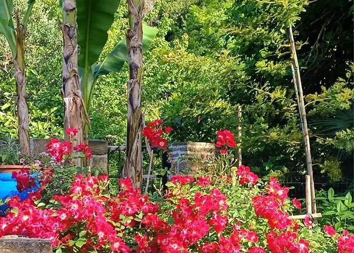 Apartma Marinka Appartement Piran